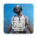 pubg国际服