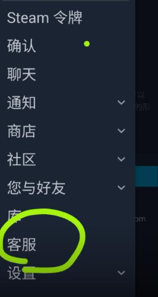 steam官方正版