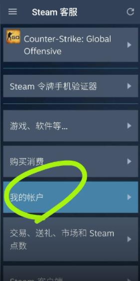 steam官方正版