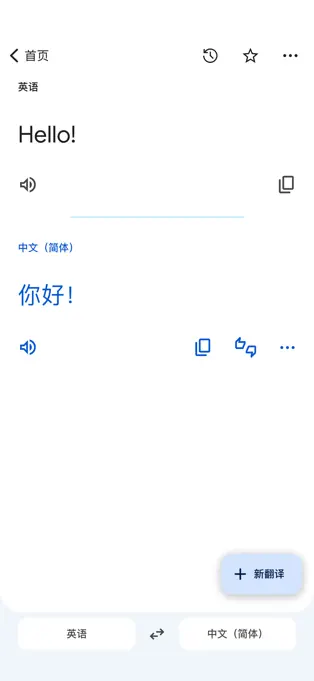 Google Translate截图2