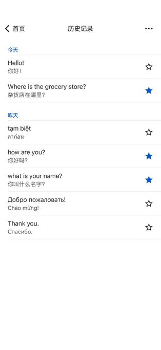 Google Translate截图4