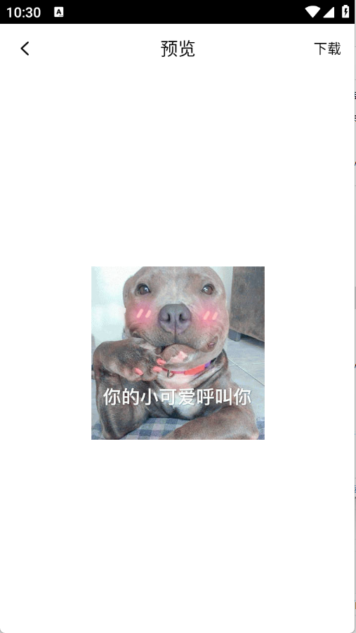 表情包合集截图3