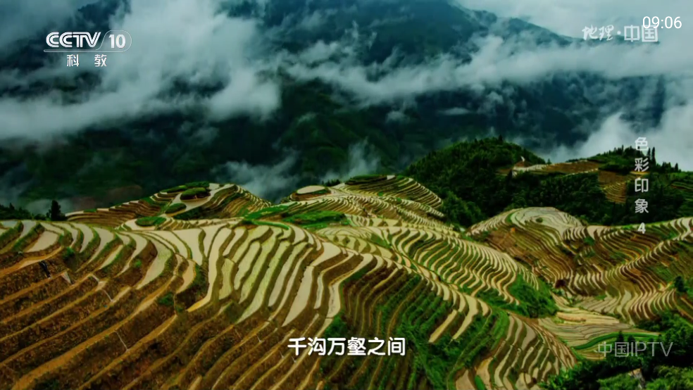 频道多多截图2