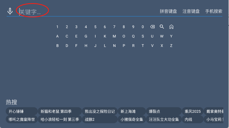 叶子TV