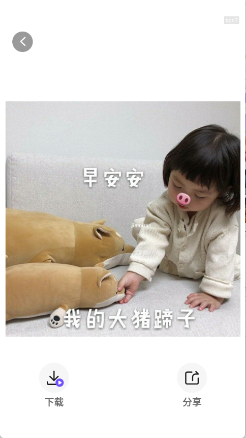 预览图5