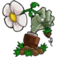 植物大战僵尸好感度版