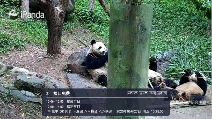 预览图1