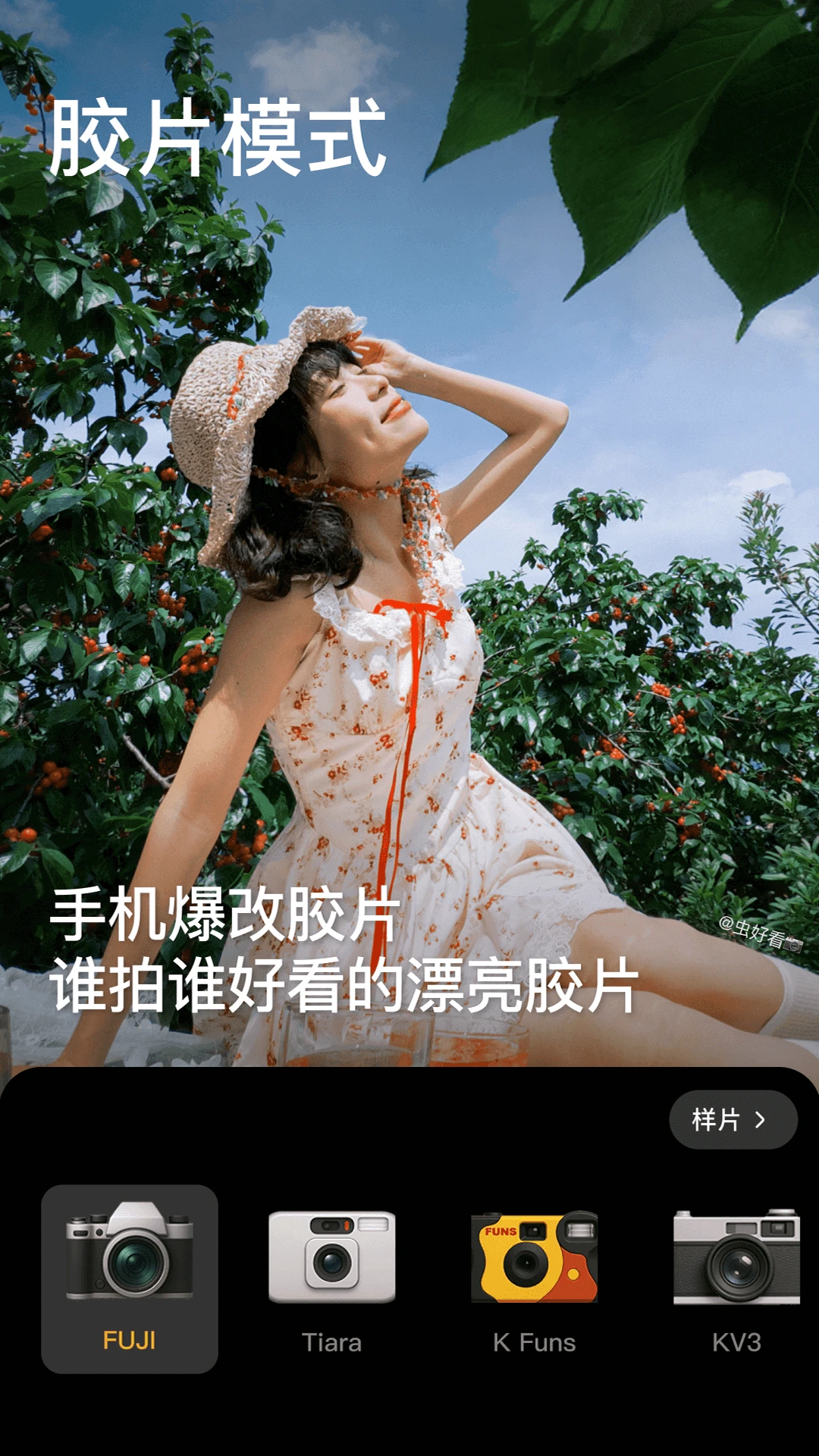 预览图3