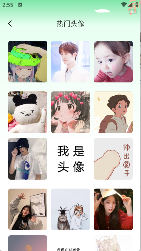 预览图4