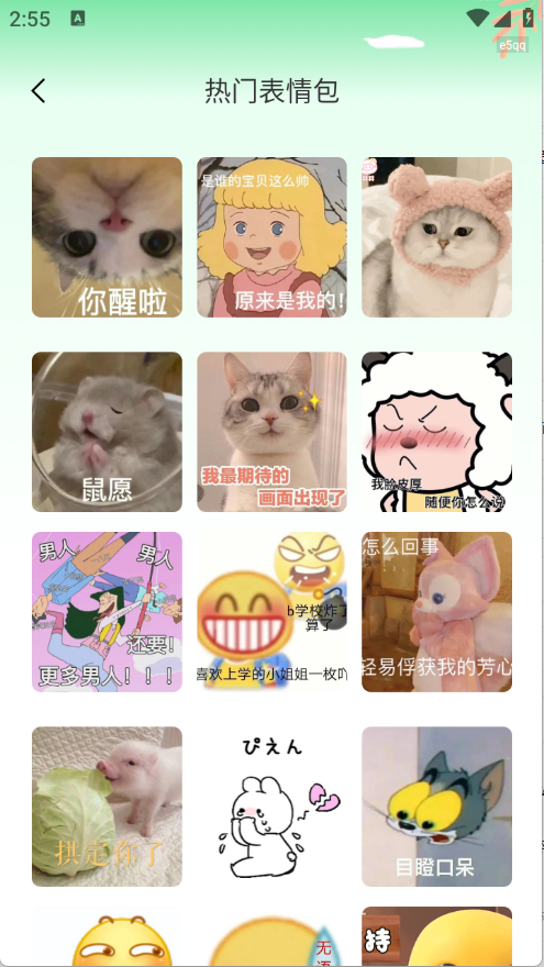 预览图3