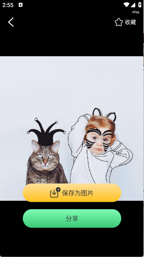 预览图5
