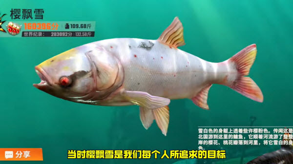 欢乐钓鱼大师视频封面