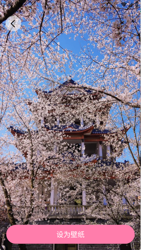 预览图5