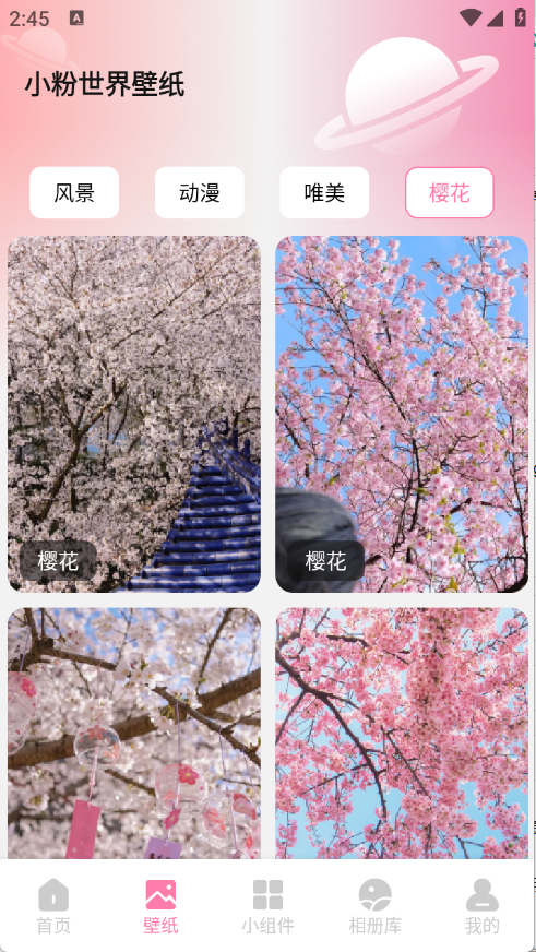 预览图4