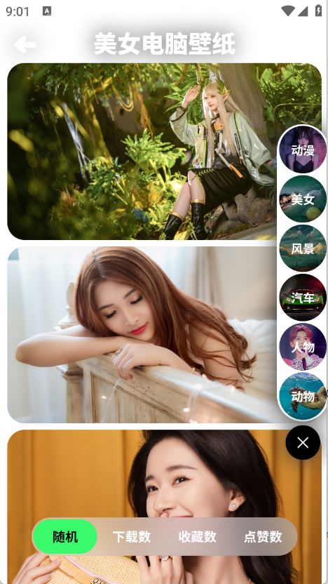 预览图4