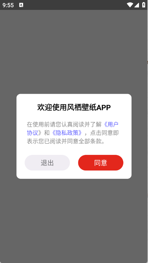 预览图4