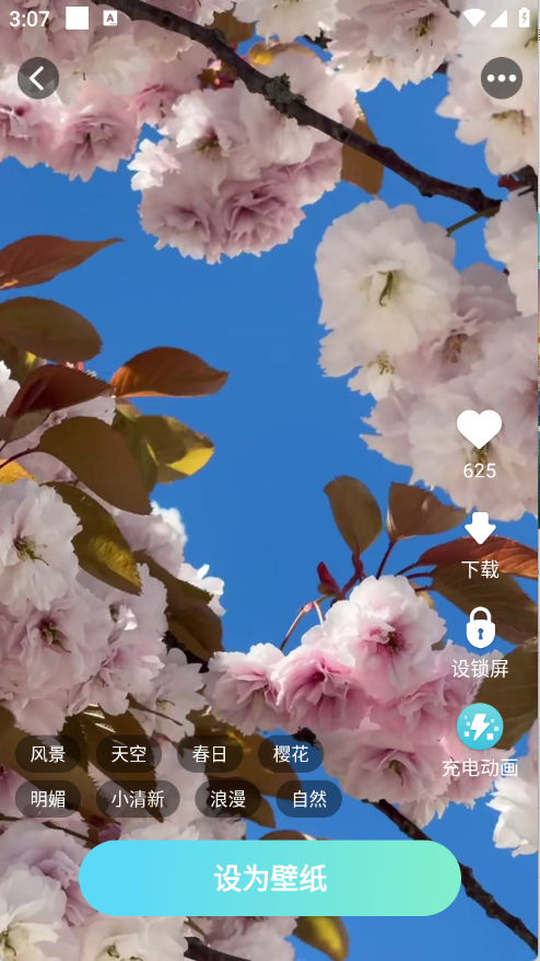 预览图5
