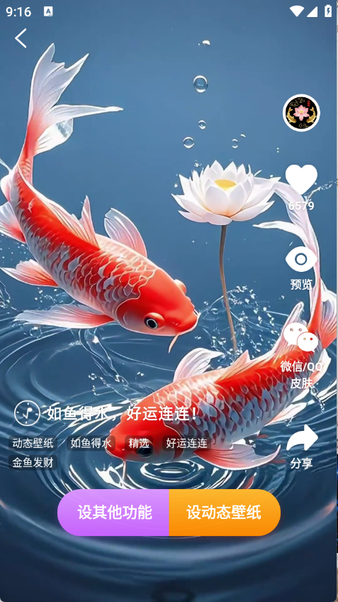 预览图4