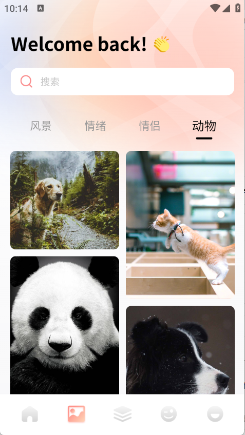 预览图3