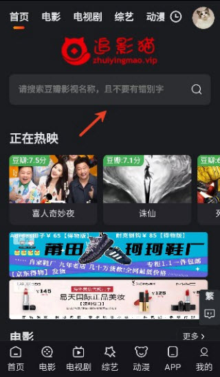 追影猫