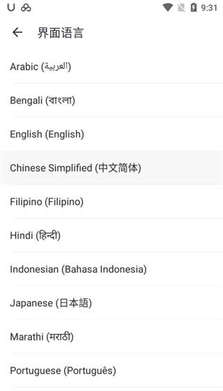 有道词典