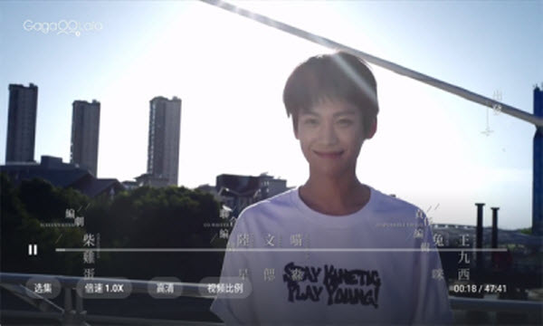 豚豚剧tv版