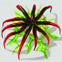 魔幻粒子