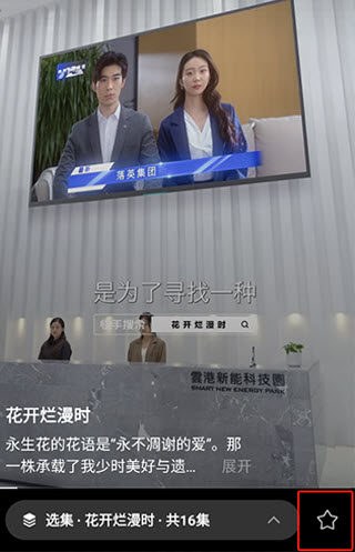 喜番免费短剧