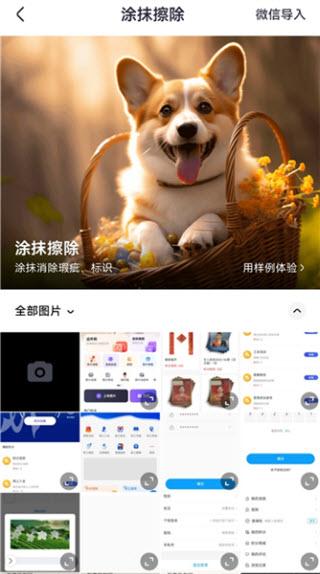美片
