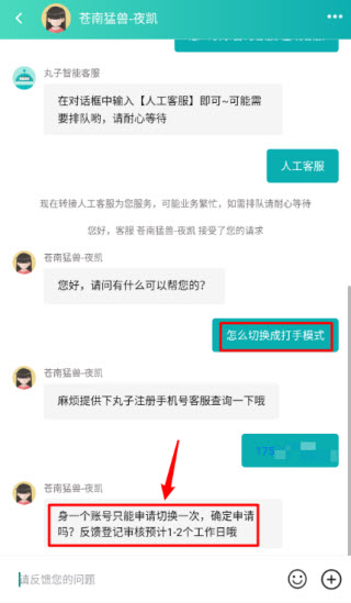 代练丸子