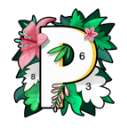 paintly数字填色